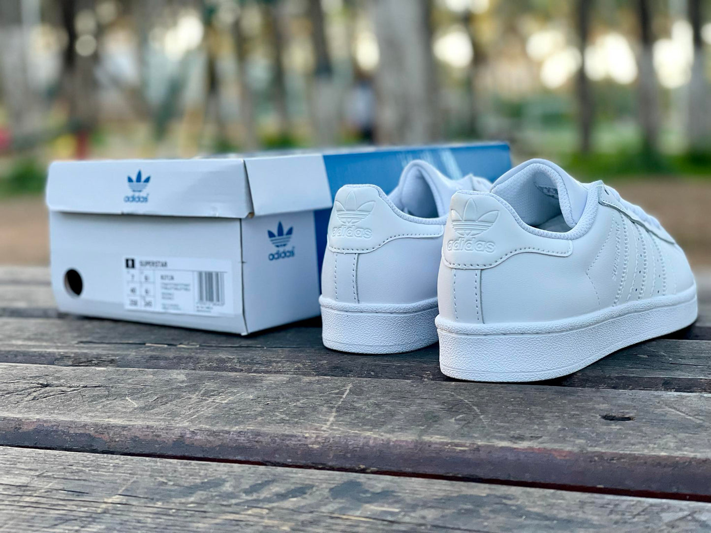 ADIDAS SUPERSTAR BLANC
